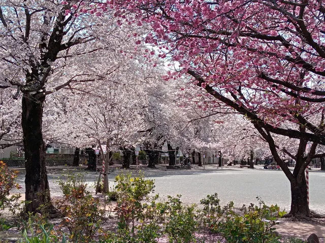 Konosu Park