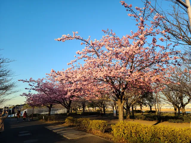 Komatsugawa Athletic Park