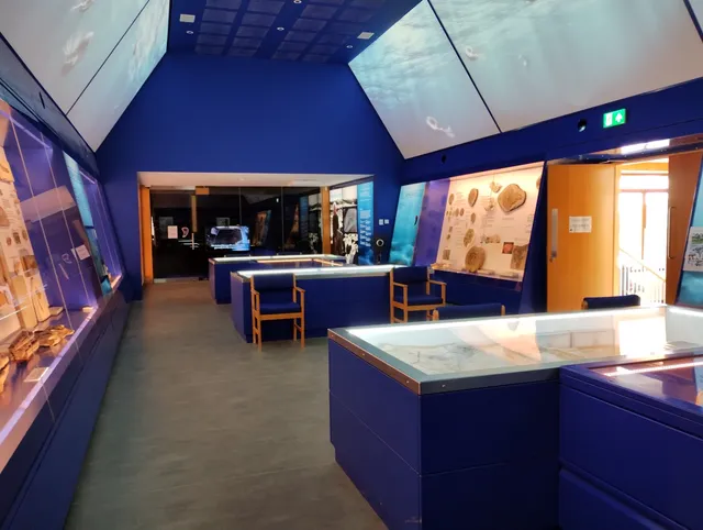 The Etches Collection Museum of Jurassic Marine Life