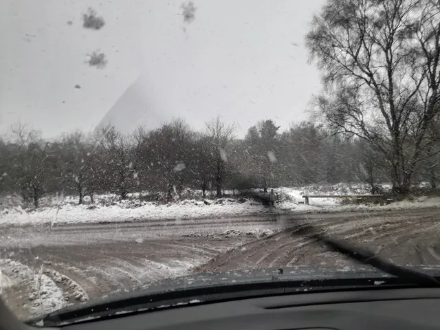 photo-1