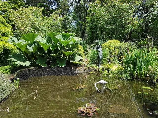 The Homestead Woodland Garden