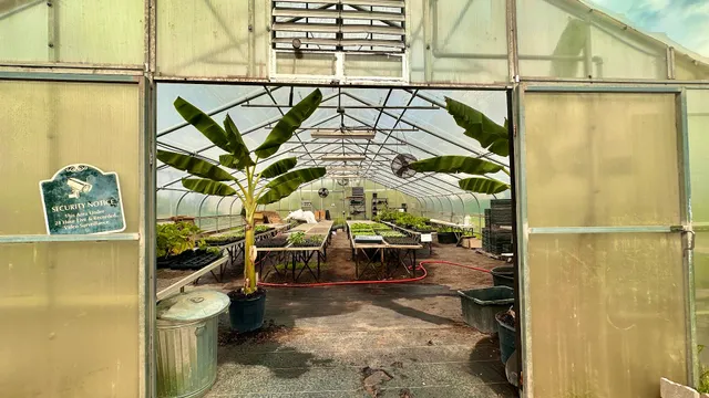 Harvest Green Farmer's Market