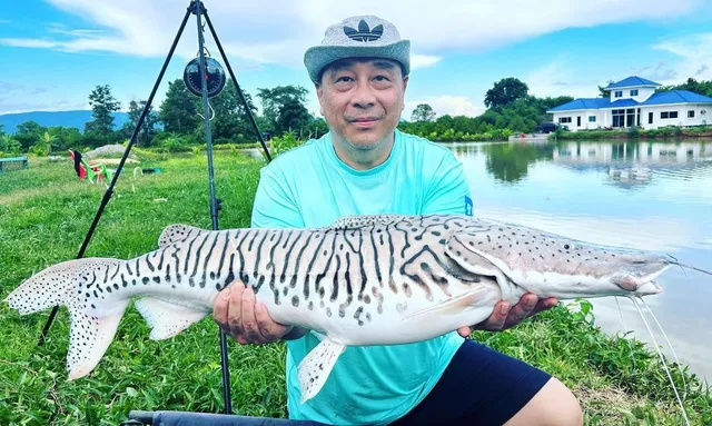 Chaiyaphum Monster Fishing Resort