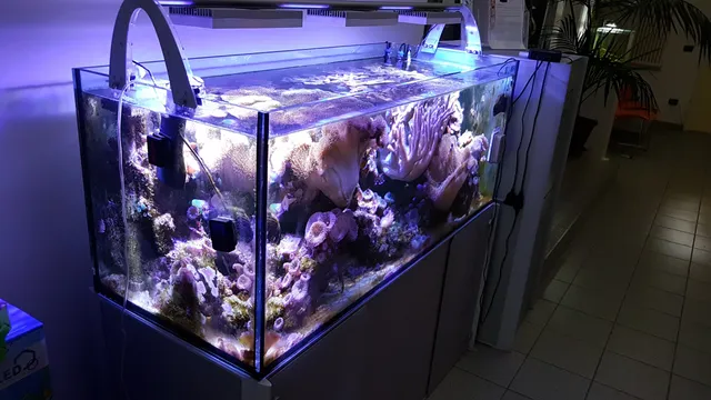 Aquaristica (S.R.L.)