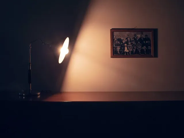 Museo Olinto Marella