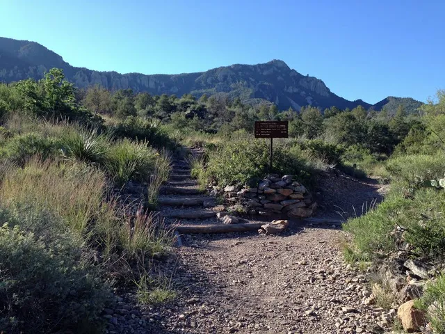 Emory Peak