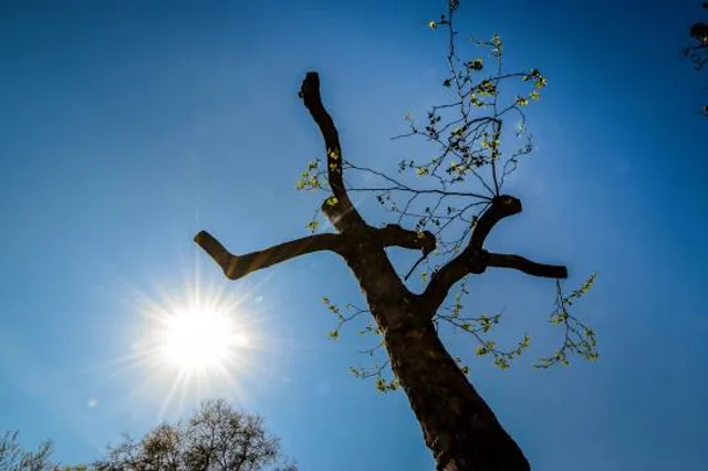 Museum Center at 5ive Points