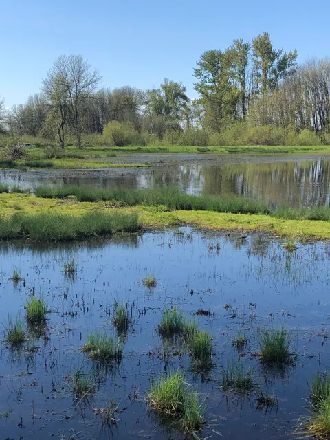 West Eugene Wetlands