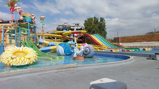 photo-1