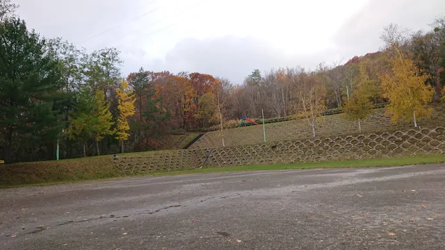 Minamisawa Swan Park