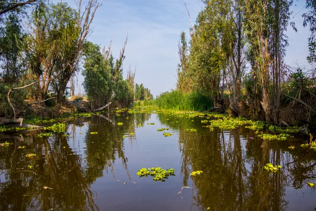 Reserva Natural Chinampas de Tláhuac