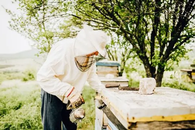 Tower of the Windmill