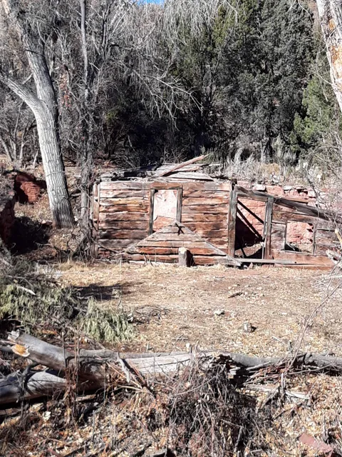 Indian Springs Trace Fossil Natural Area