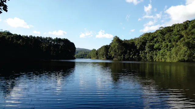 State Park Cantareira Core Cabuçu
