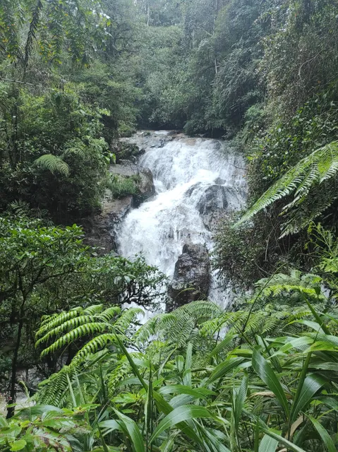 Robinson Falls