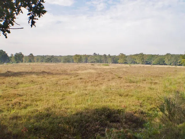 Goois Natuurreservaat Vliegheide