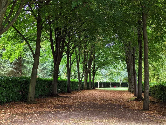 National Trust - Whipsnade Tree Cathedral