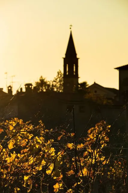 Pliskovica circular trail