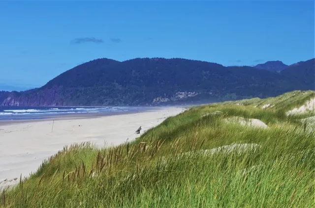 Nehalem Bay State Park