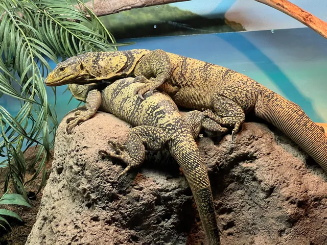 World of Reptiles, Bronx Zoo
