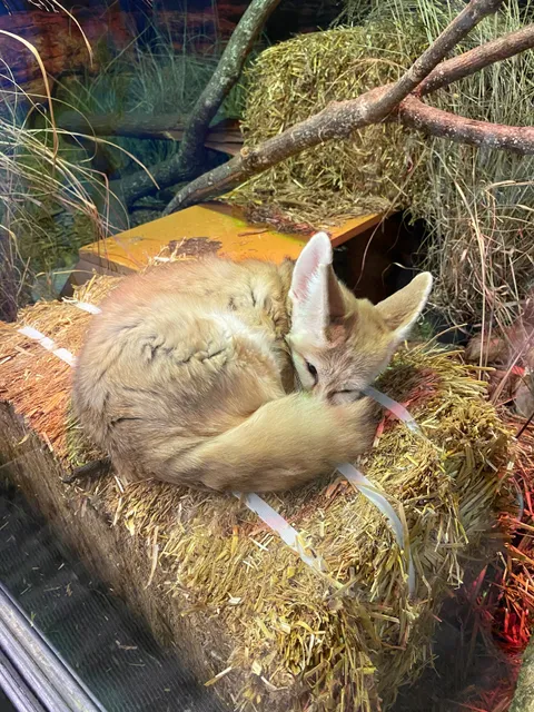 Little Ray's Nature Center