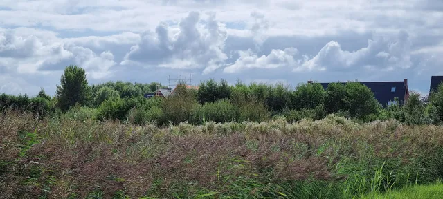 Plesmanhoek (Spaarnwoude Park)