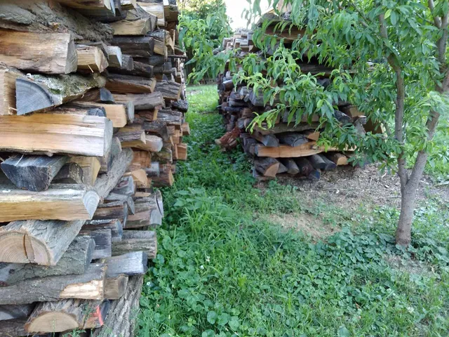 Kapolcsi Kulturális és Természetvédelmi Egylet