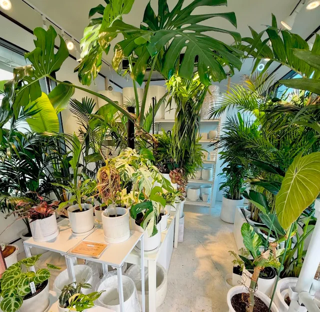 MARINE GARDENS マリン ガーデンズ