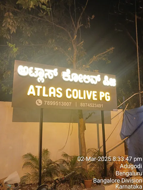 Atlas Colive PG
