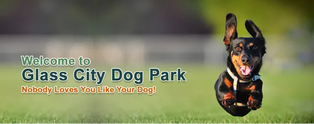 Glass City Dog Park (Membership Required)