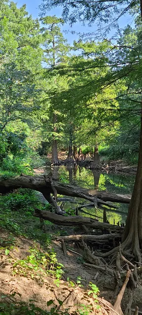 Bayou Meto Walking Trail
