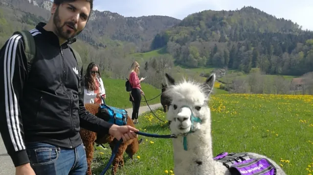 Alpaka Trekking am Berg, Inh. Martin Herrmann