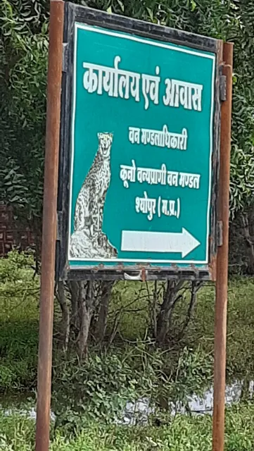 Tourism Kuno National Park