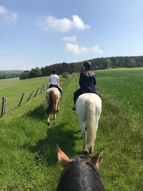 Kimmerston Riding Centre