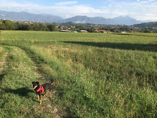 Parco della valletta