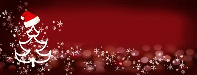 Castle of La Chapelle Angillon Wedding visit