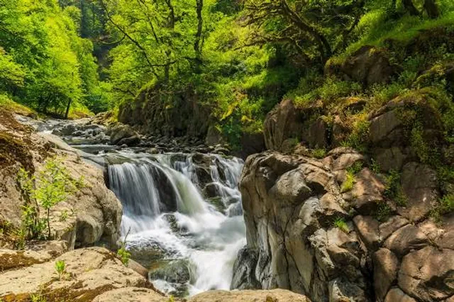 Gizil-Agach State Reserve