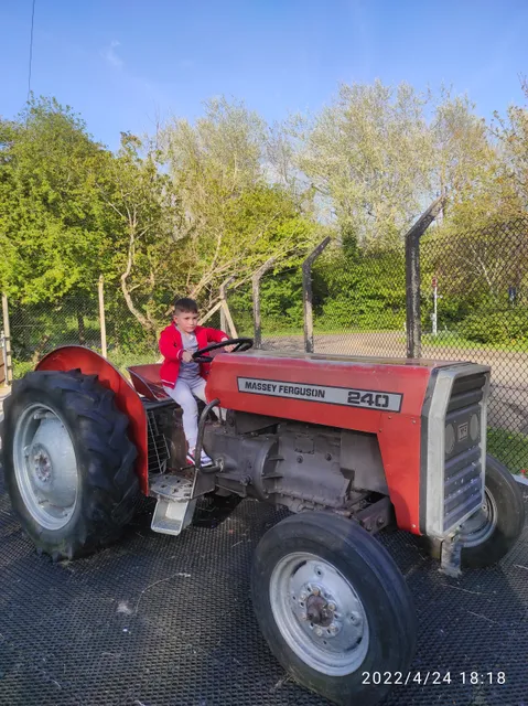 Tannaghmore Gardens & Animal Farm