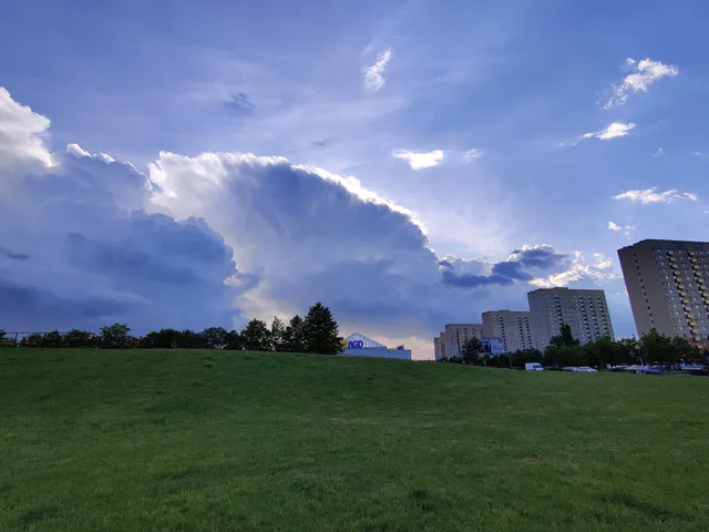 Władysław Czarnecki Park