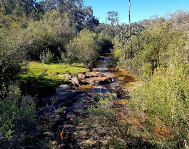 Bickley Brook Reservoir