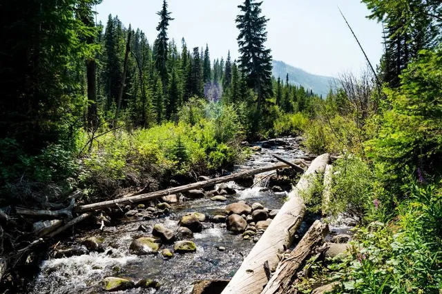 Wallowa-Whitman National Forest