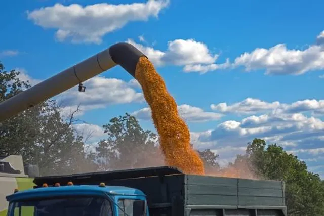 Voyenno-Istoricheskiy Park Vooruzheniya I Voyennoy Tekhniki "Patriot"