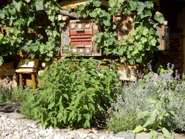 Bee-Fly Insektenhotels