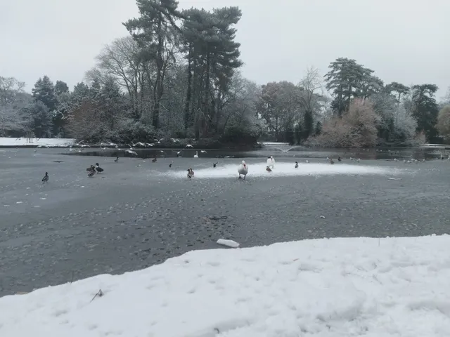 photo-1