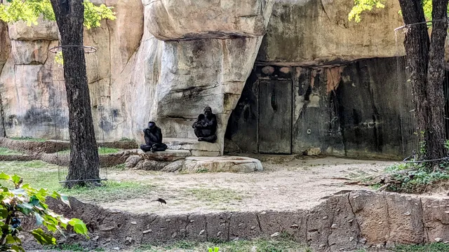 World of Primates at Fort Worth Zoo