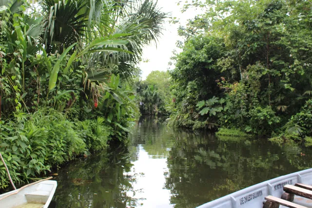 Laguna Paikawe Reserva
