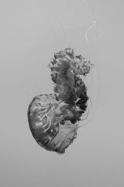 The Aldrich Contemporary Art Museum