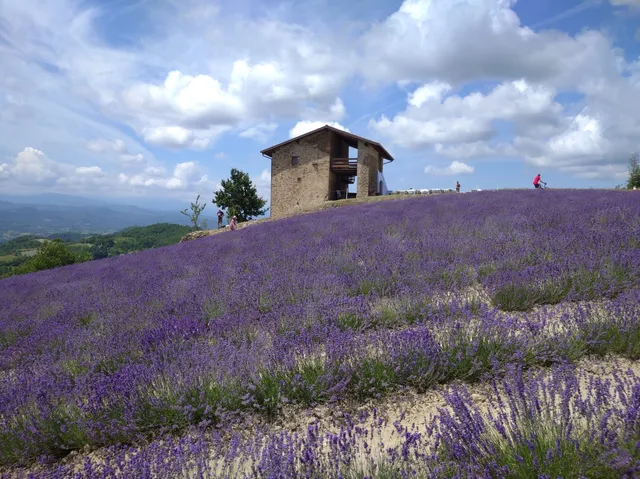 Percorso Lavanda