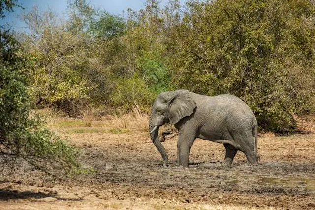 Zakouma National Park