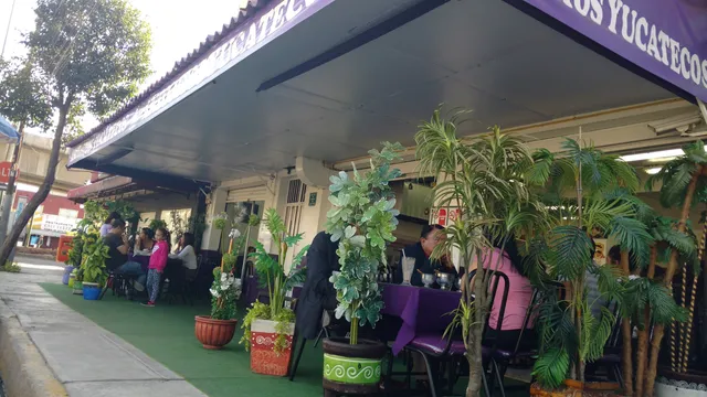 Antojitos Yucatecos Chichen (Morado)